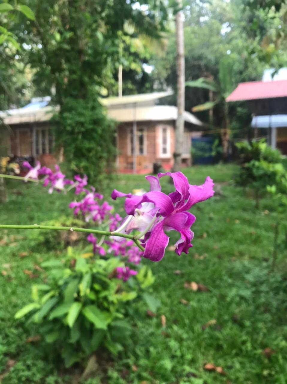 Ashtamudivillas Kollam Eksteriør billede
